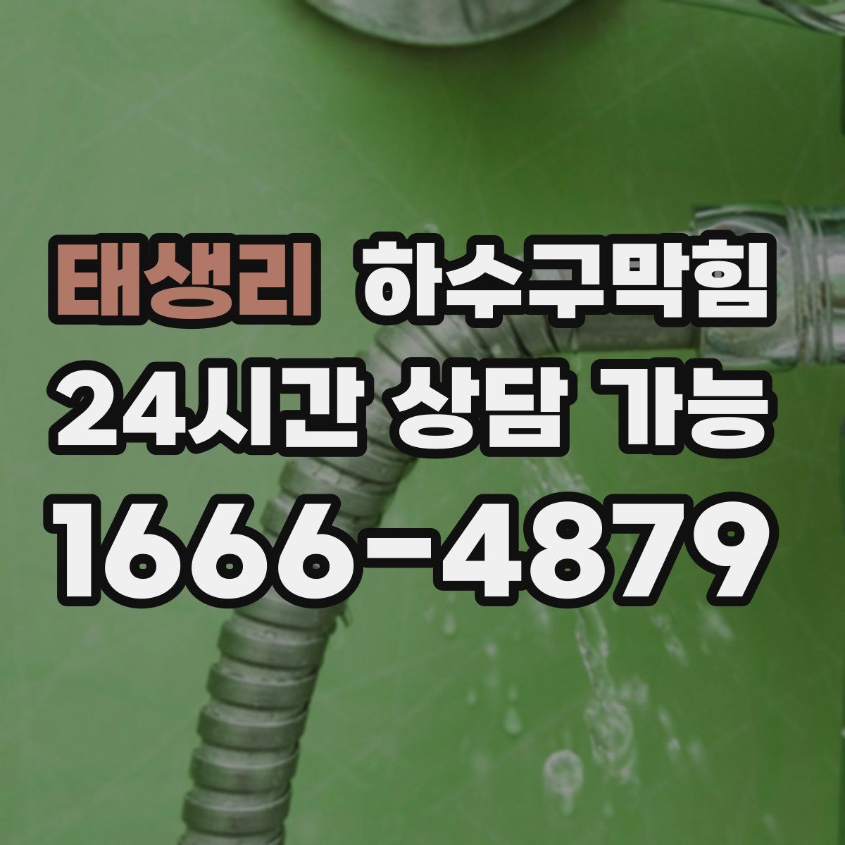 태생리 하수구막힘