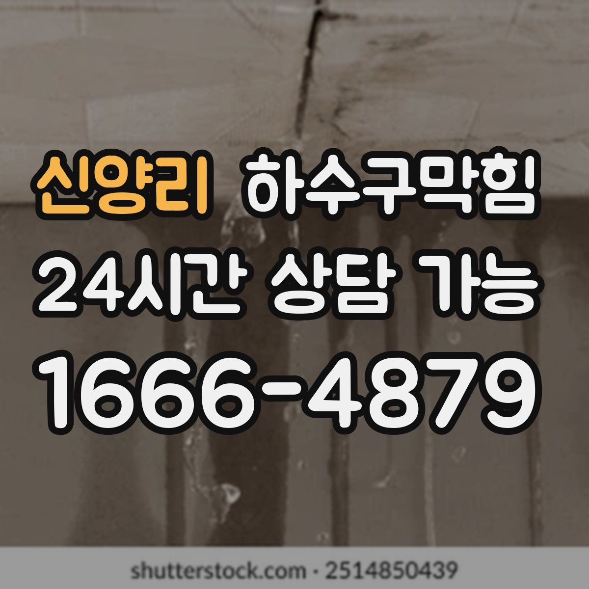 신양리 하수구막힘