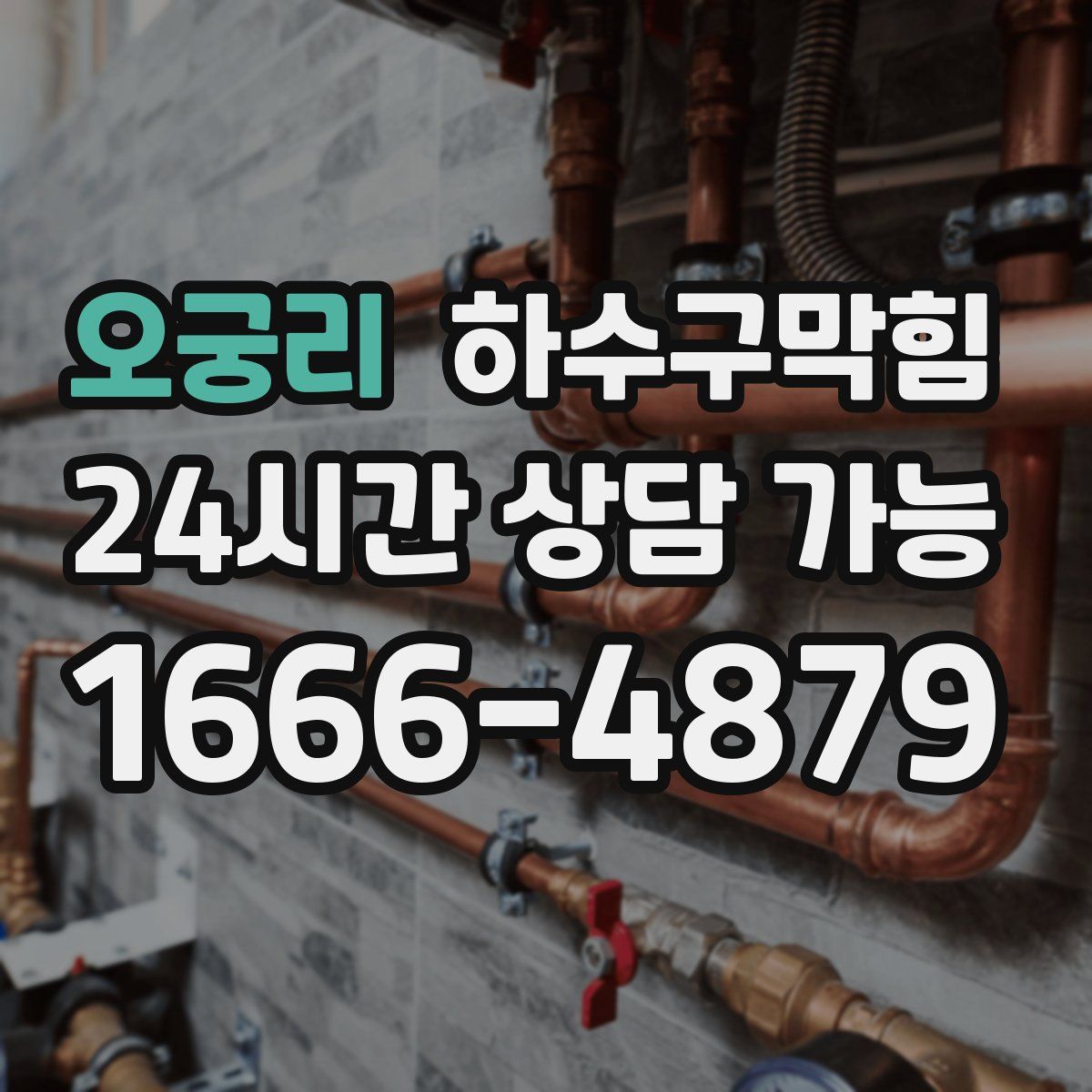 오궁리 하수구막힘