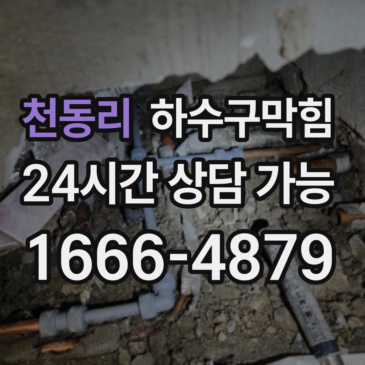 천동리 하수구막힘