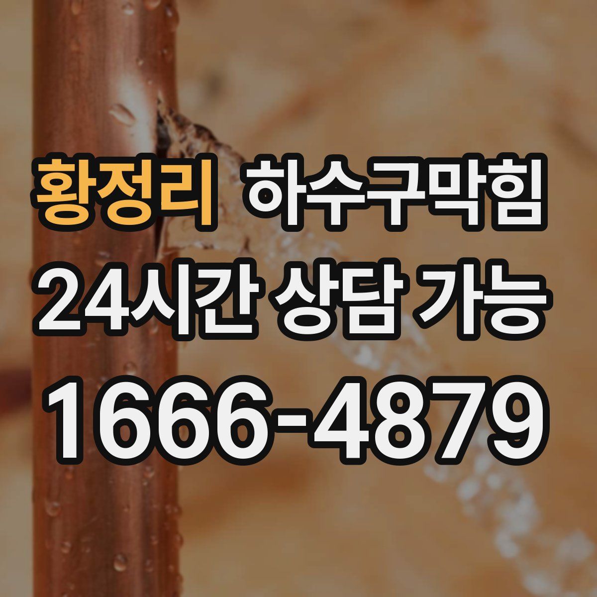 황정리 하수구막힘