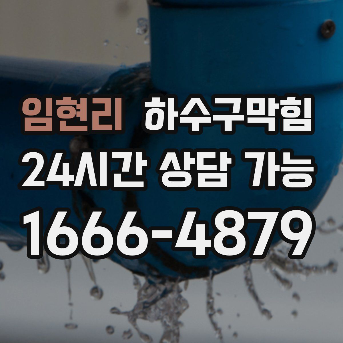 임현리 하수구막힘