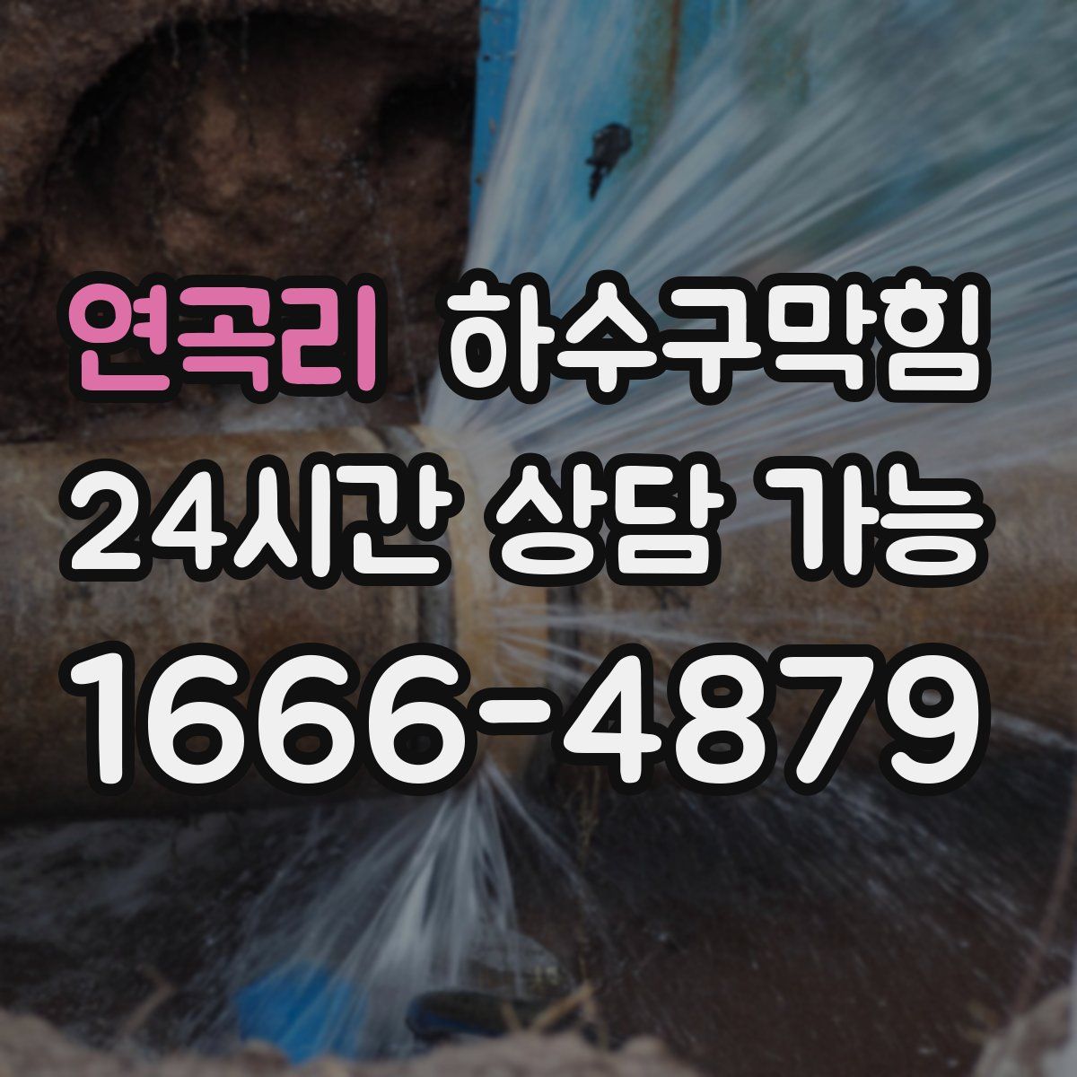 연곡리 하수구막힘