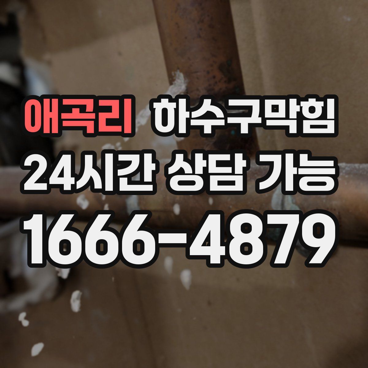 애곡리 하수구막힘