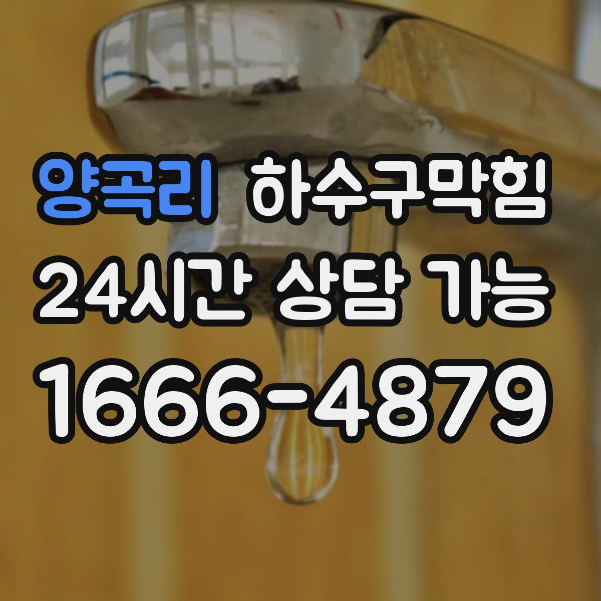 양곡리 하수구막힘