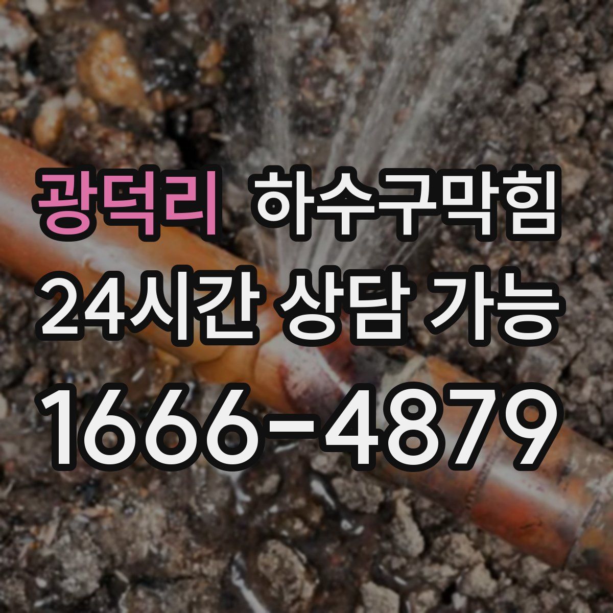 광덕리 하수구막힘