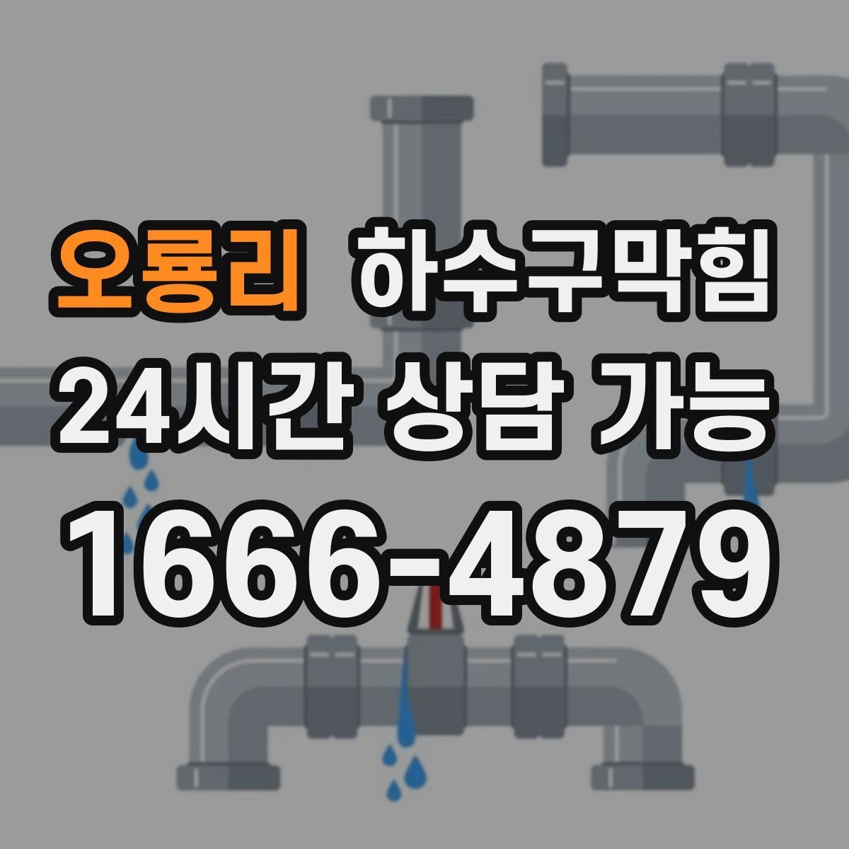 오룡리 하수구막힘