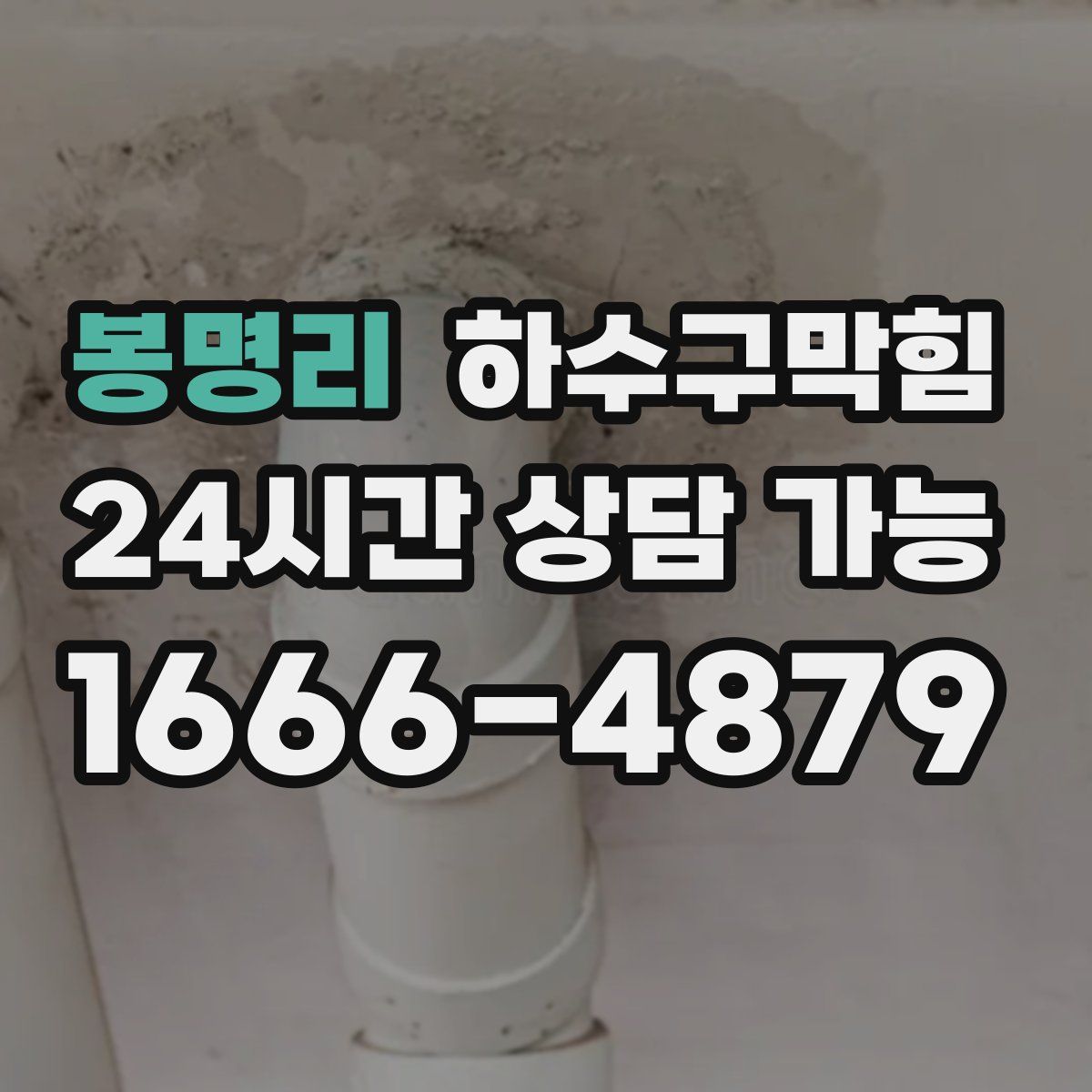 봉명리 하수구막힘