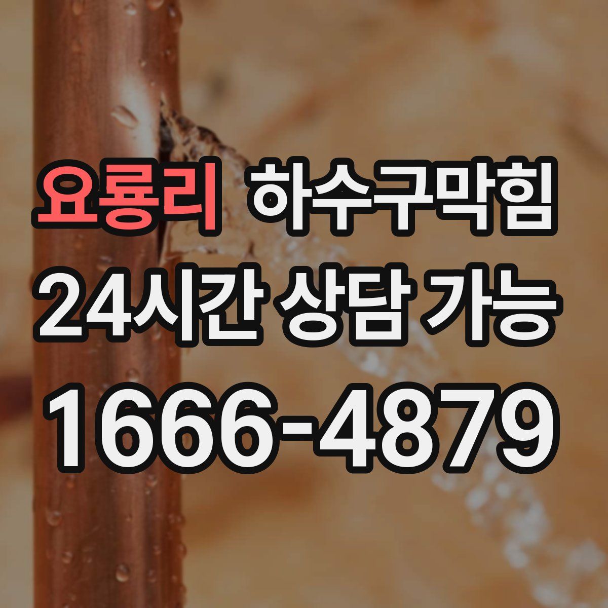 요룡리 하수구막힘