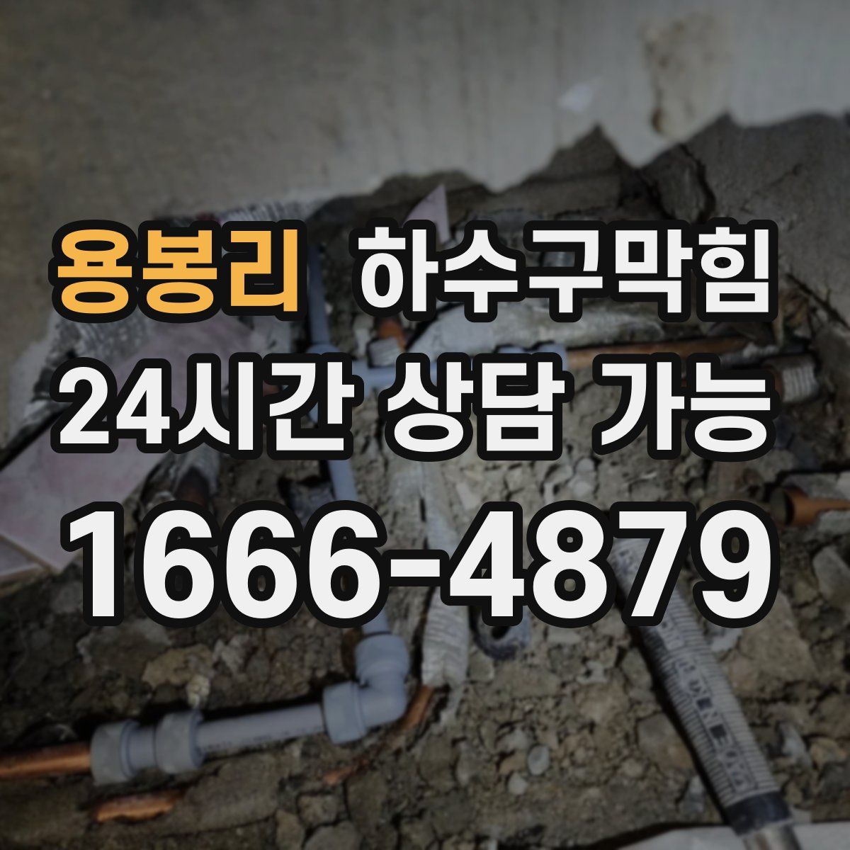 용봉리 하수구막힘