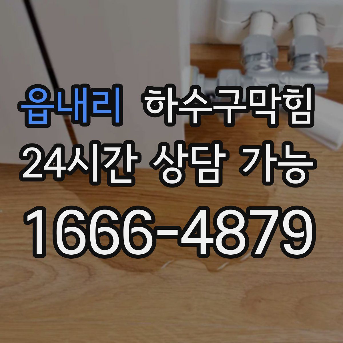 읍내리 하수구막힘