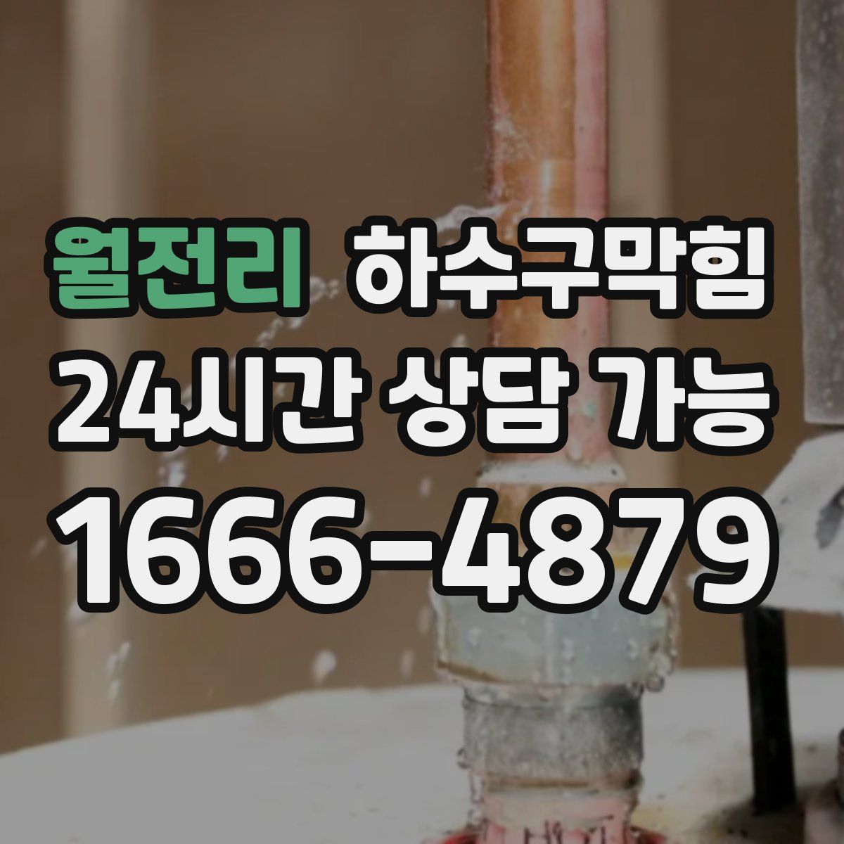 월전리 하수구막힘