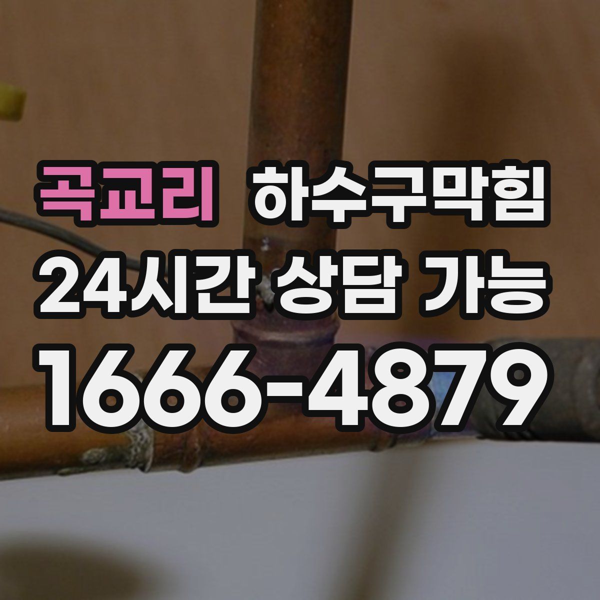 곡교리 하수구막힘