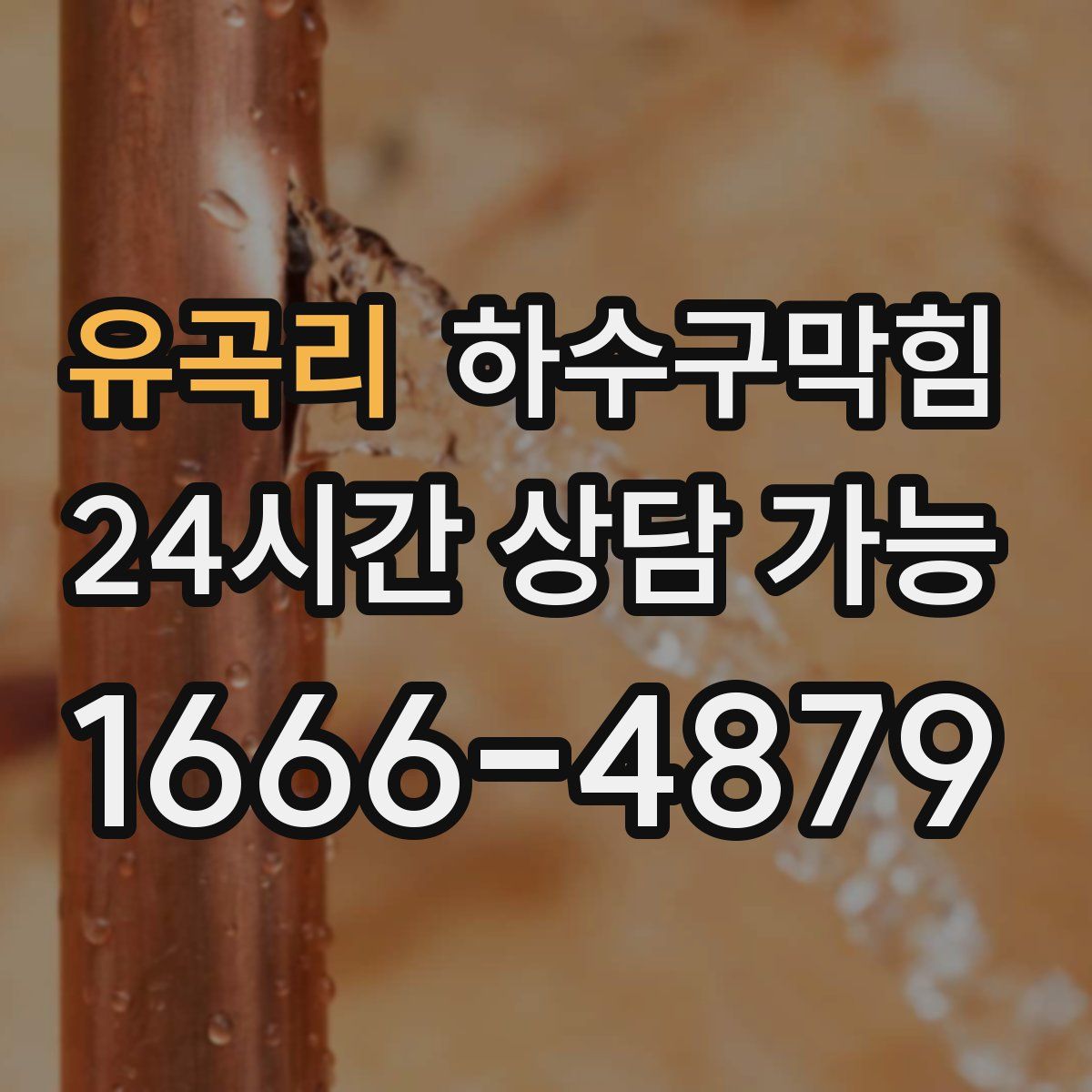 유곡리 하수구막힘