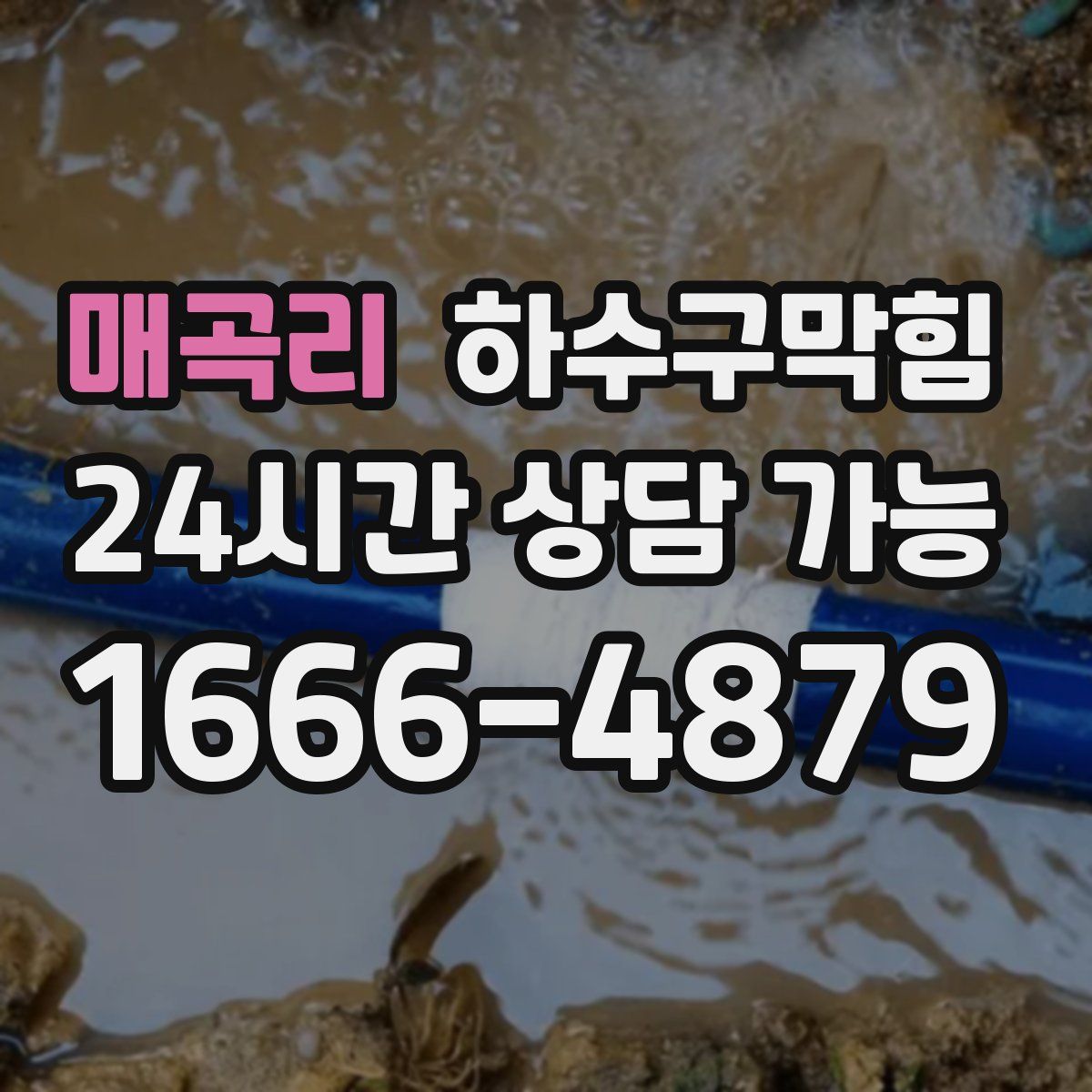 매곡리 하수구막힘