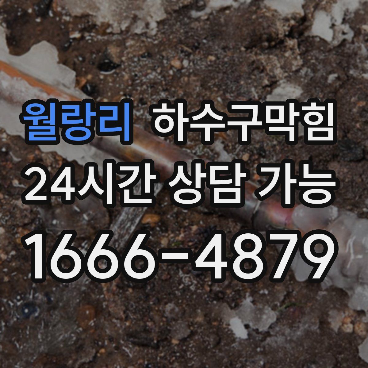 월랑리 하수구막힘