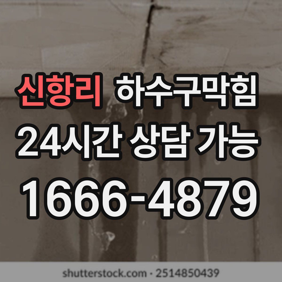 신항리 하수구막힘