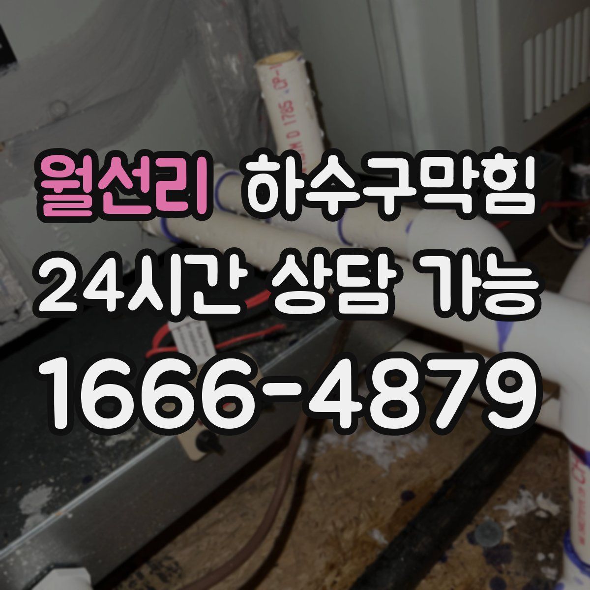 월선리 하수구막힘