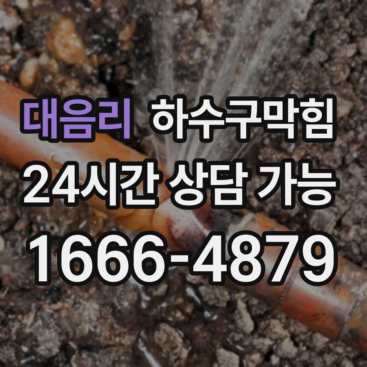 대음리 하수구막힘