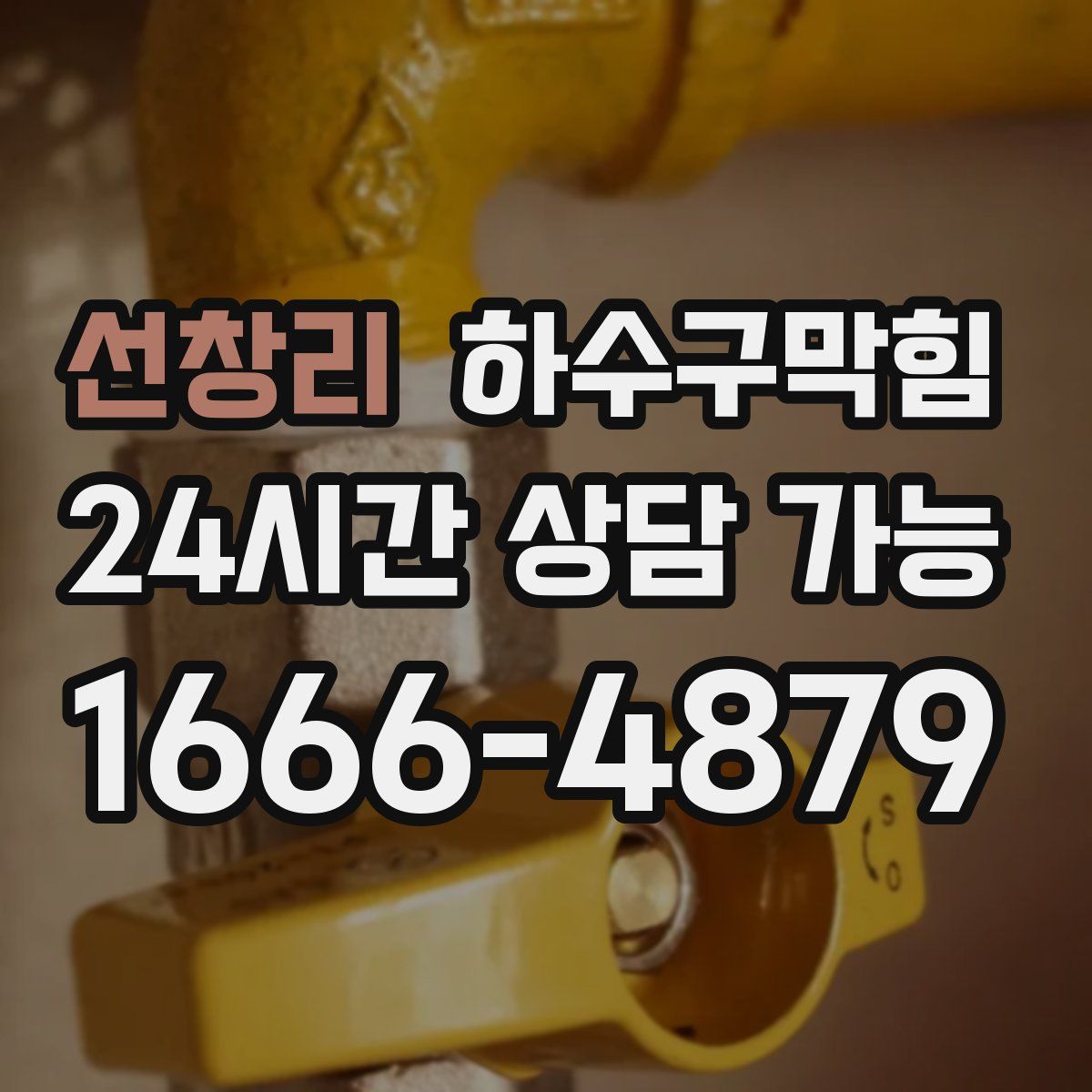 선창리 하수구막힘