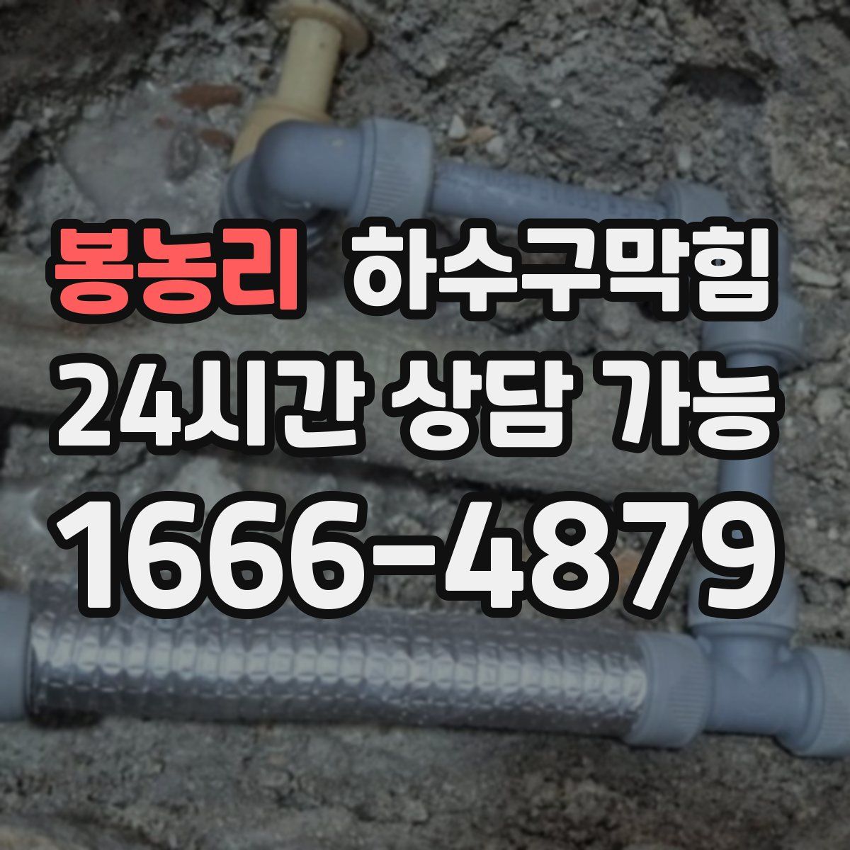 봉농리 하수구막힘