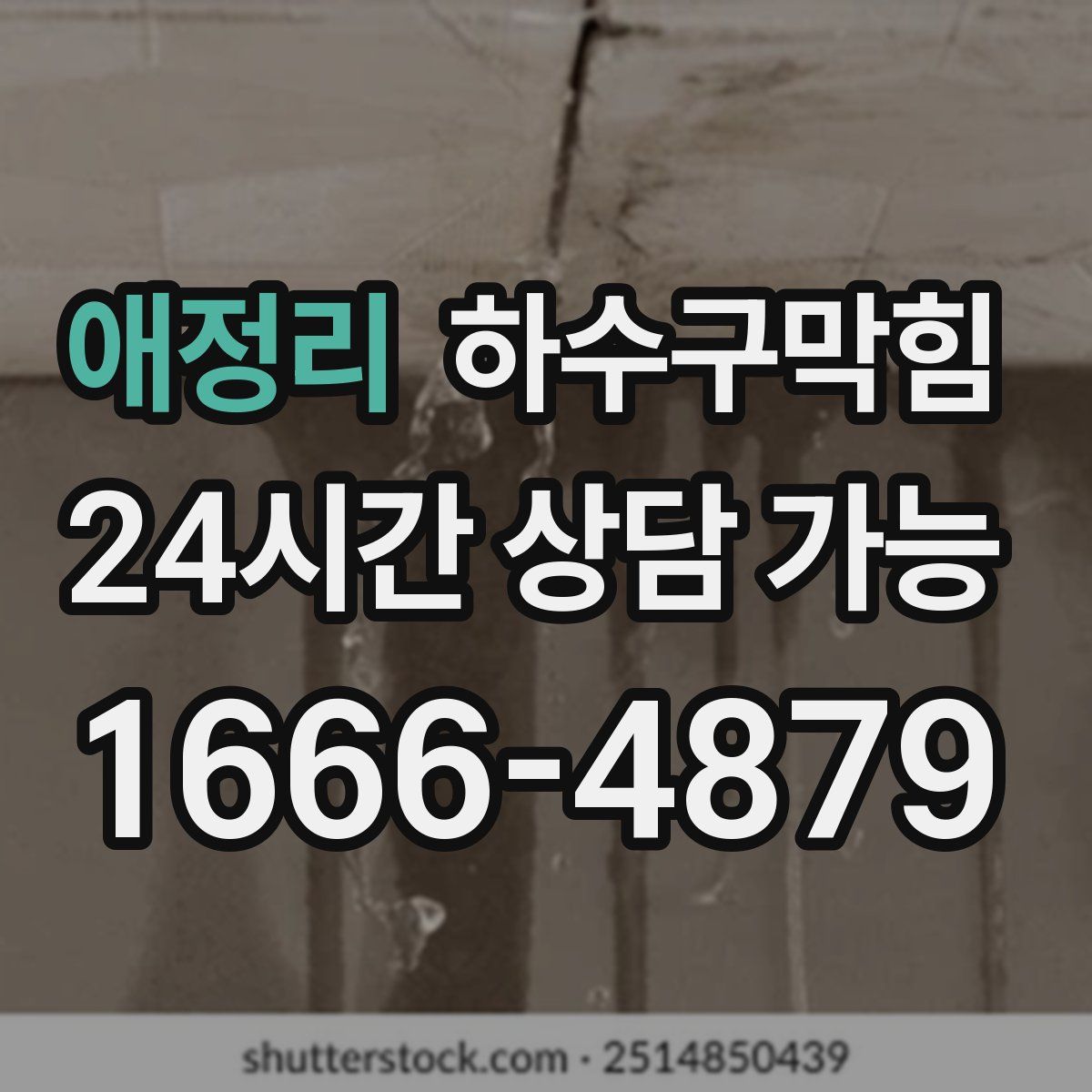 애정리 하수구막힘