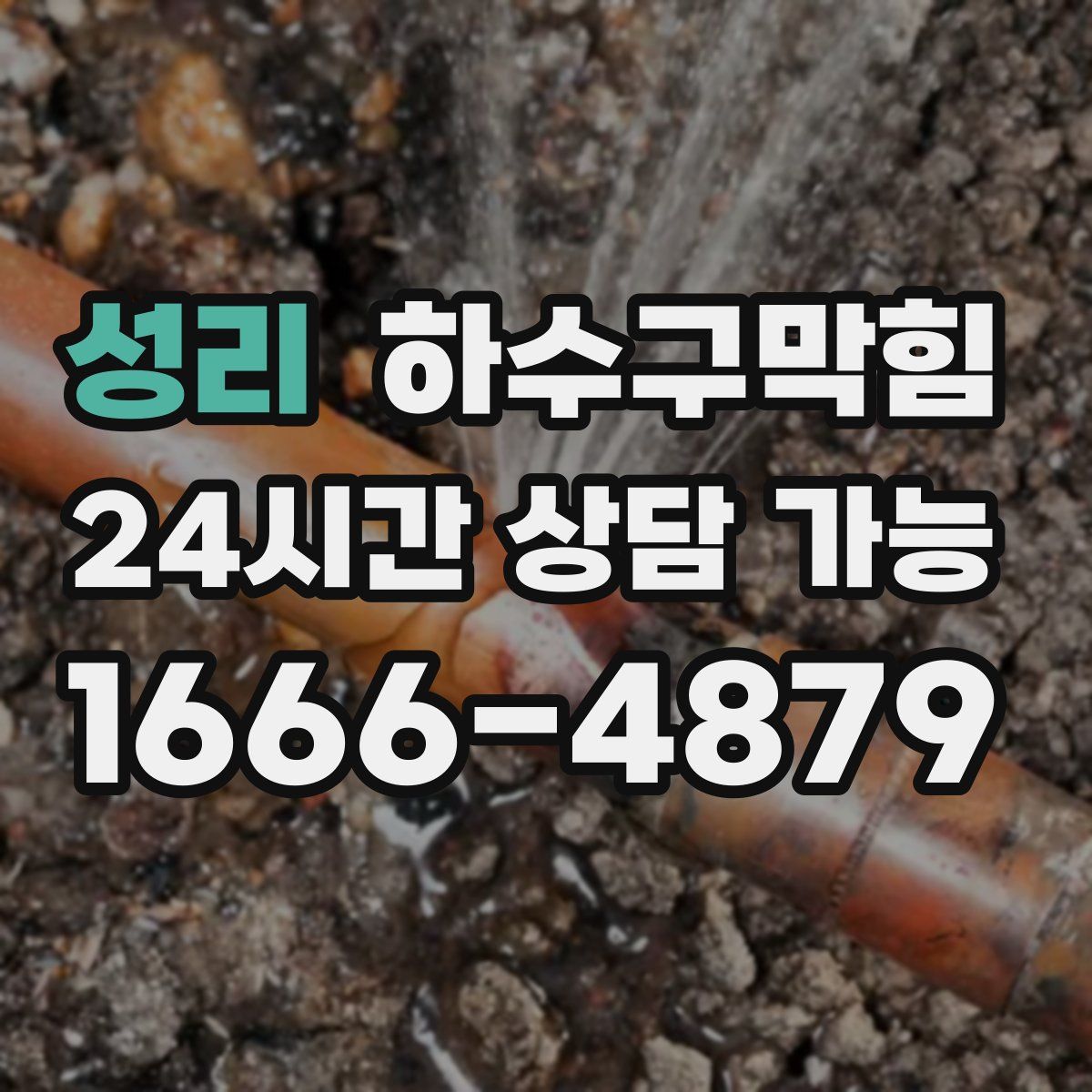 성리 하수구막힘