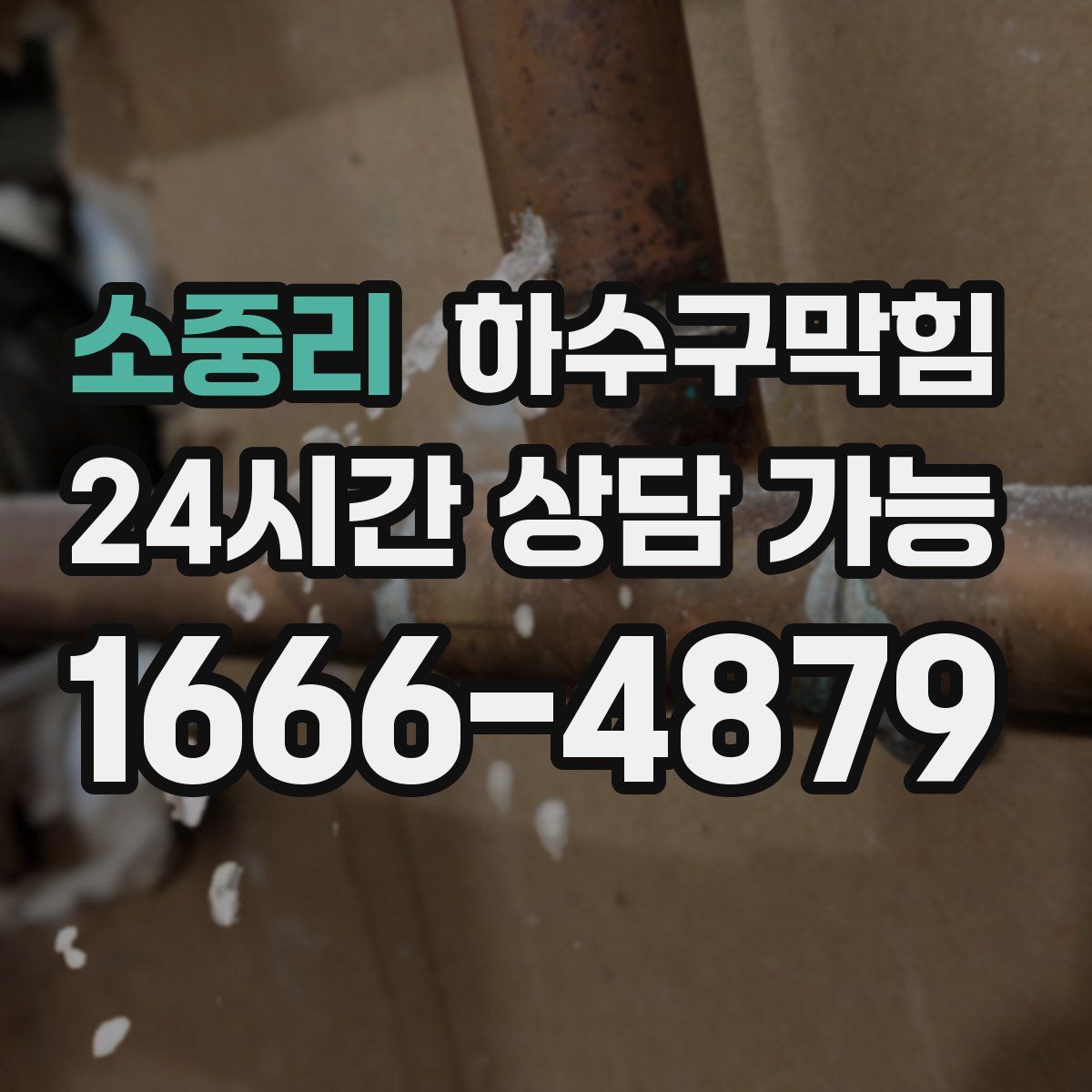 소중리 하수구막힘