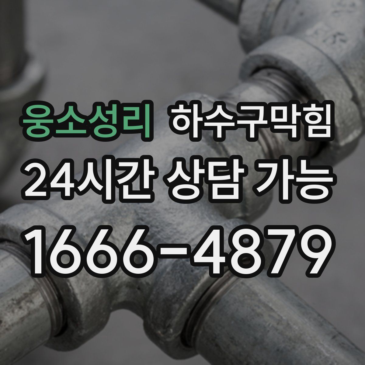 웅소성리 하수구막힘