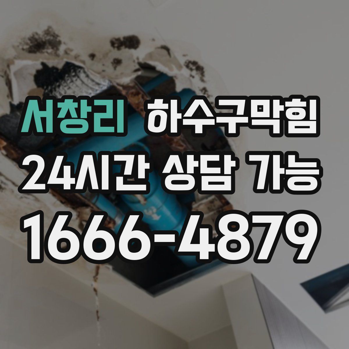 서창리 하수구막힘