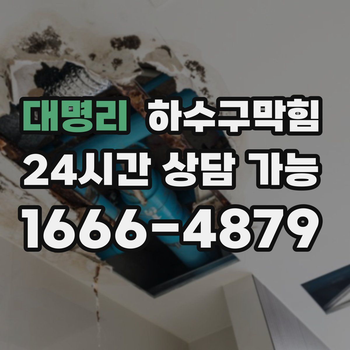 대명리 하수구막힘