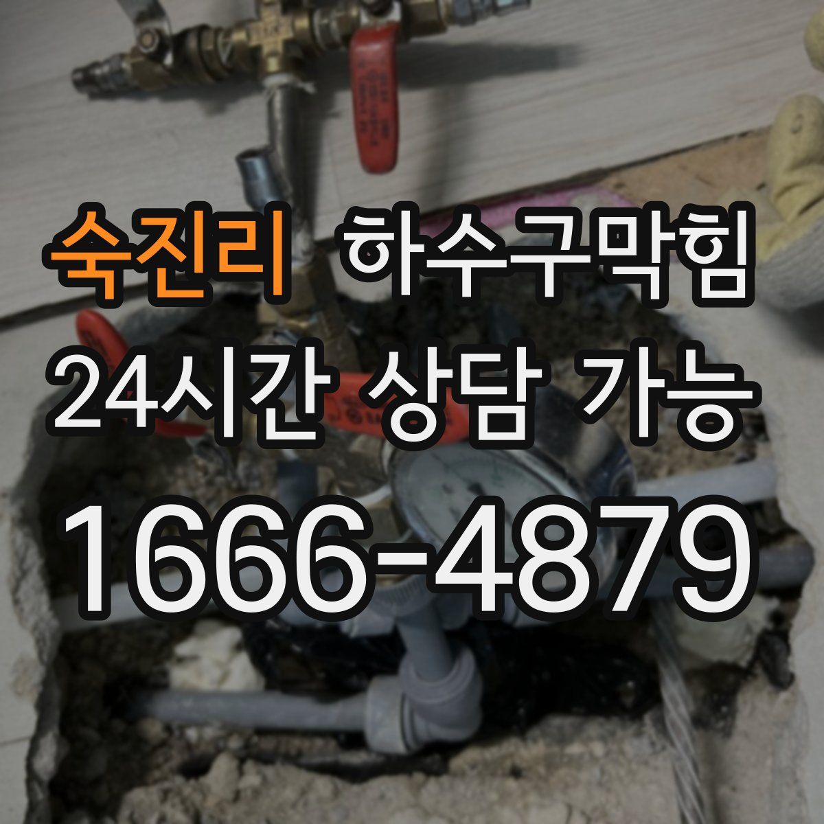 숙진리 하수구막힘