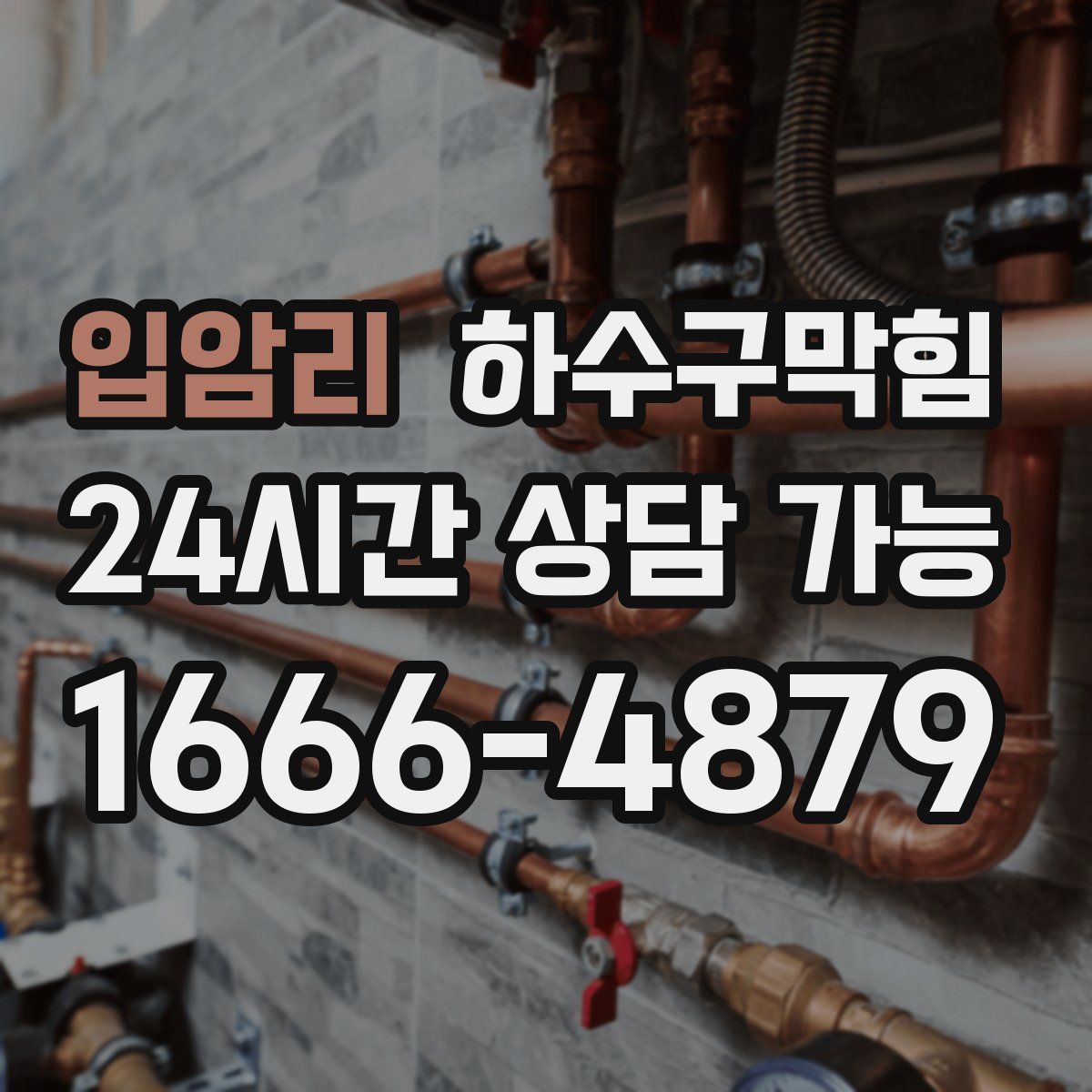 입암리 하수구막힘