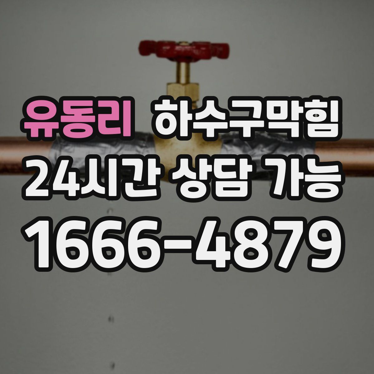 유동리 하수구막힘