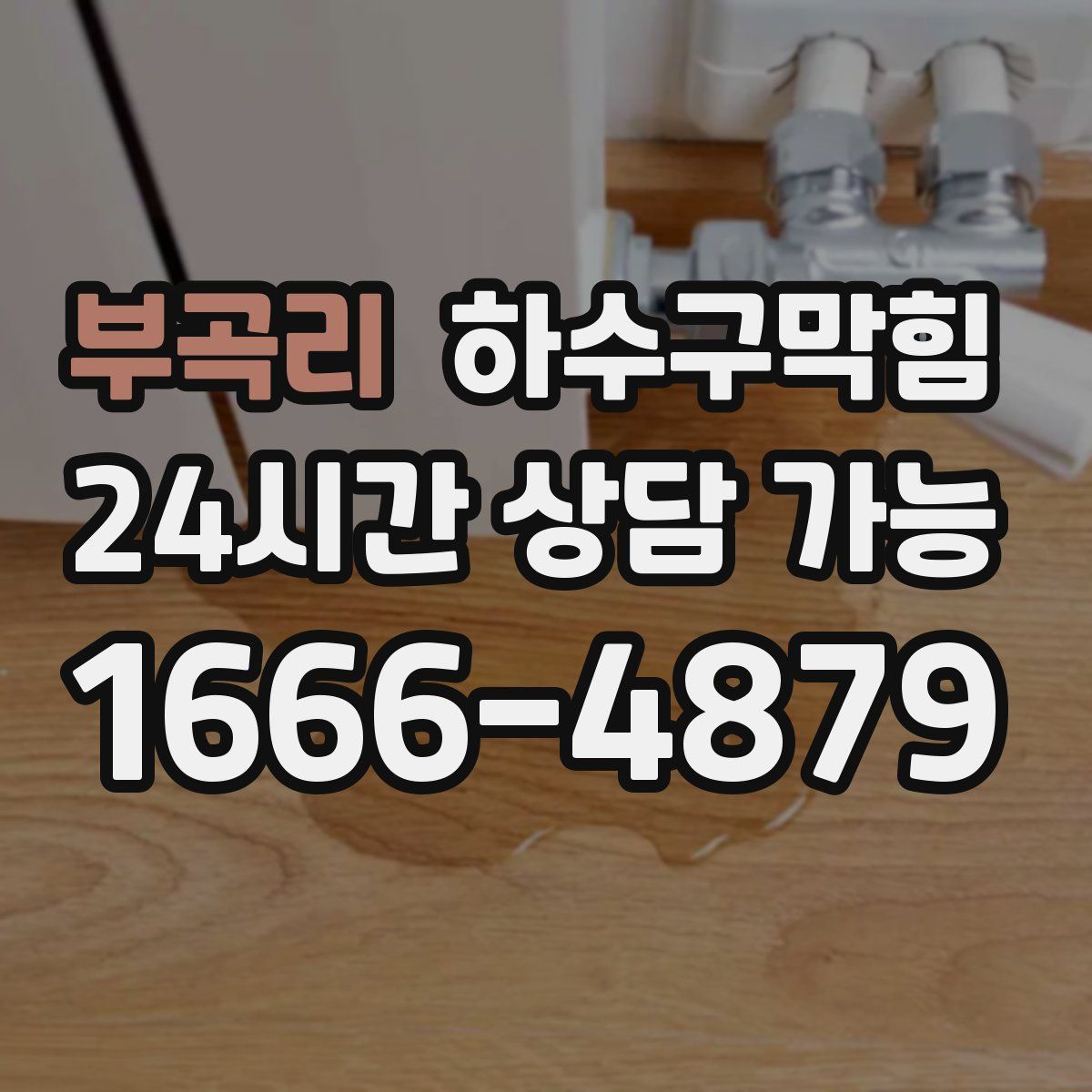 부곡리 하수구막힘