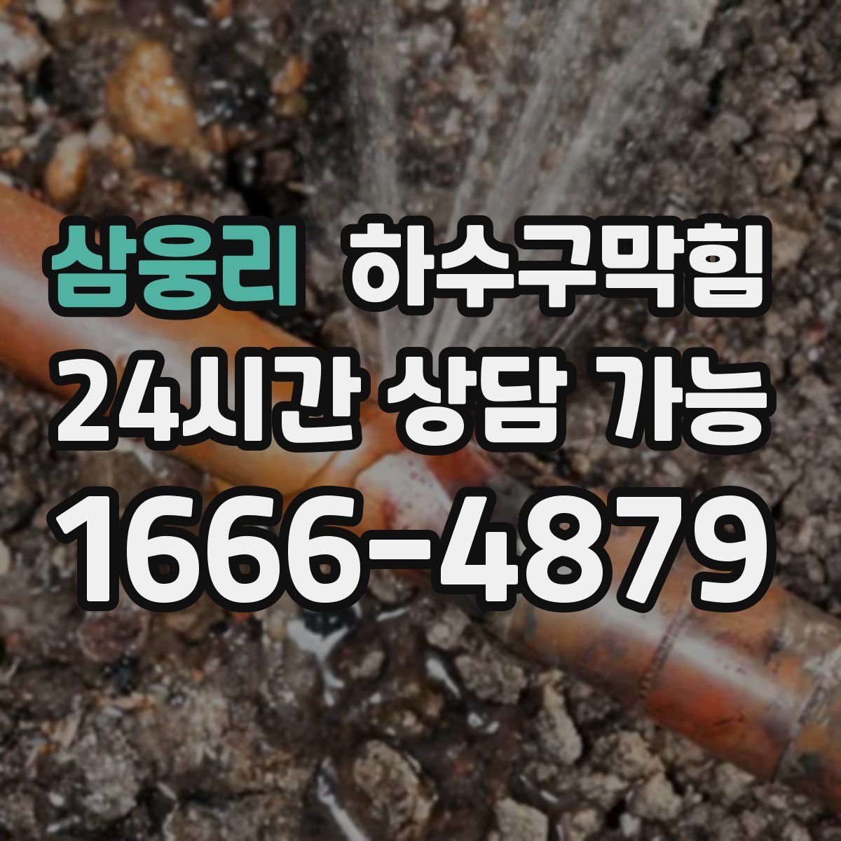 삼웅리 하수구막힘