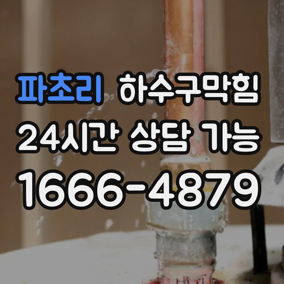 파초리 하수구막힘