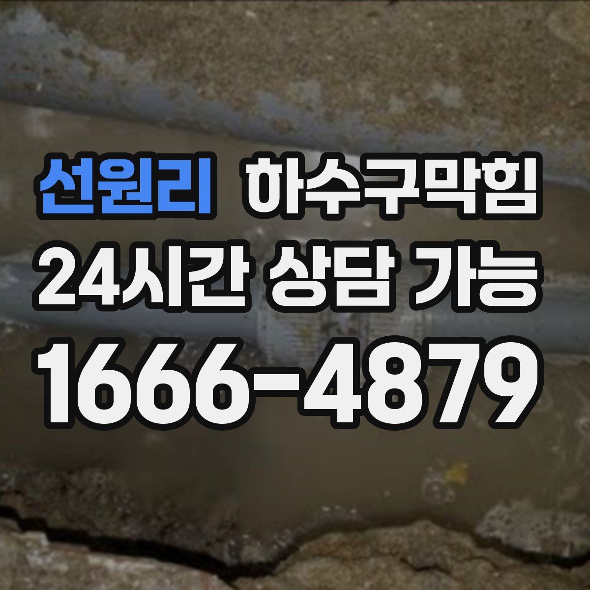 선원리 하수구막힘