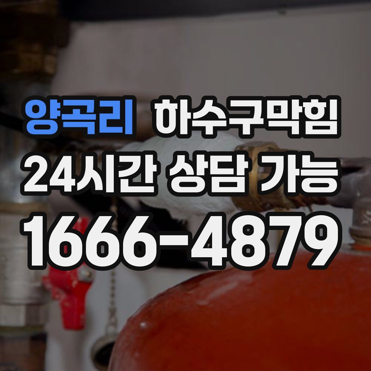 양곡리 하수구막힘