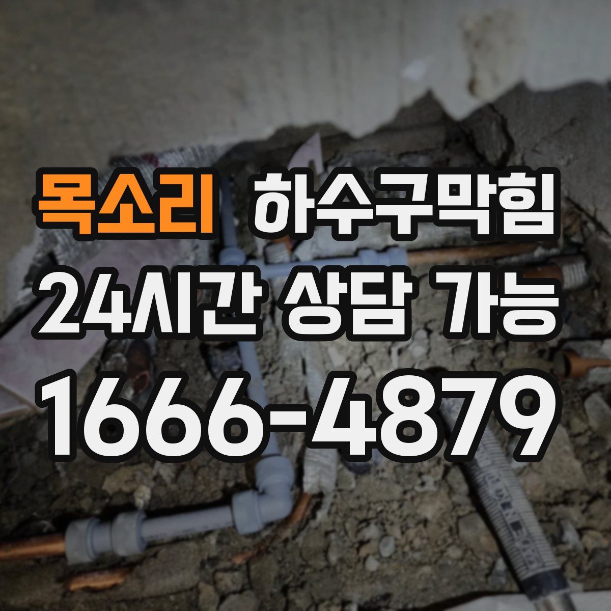 목소리 하수구막힘