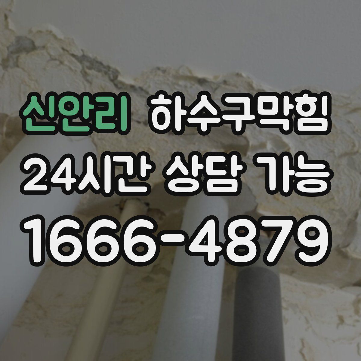 신안리 하수구막힘