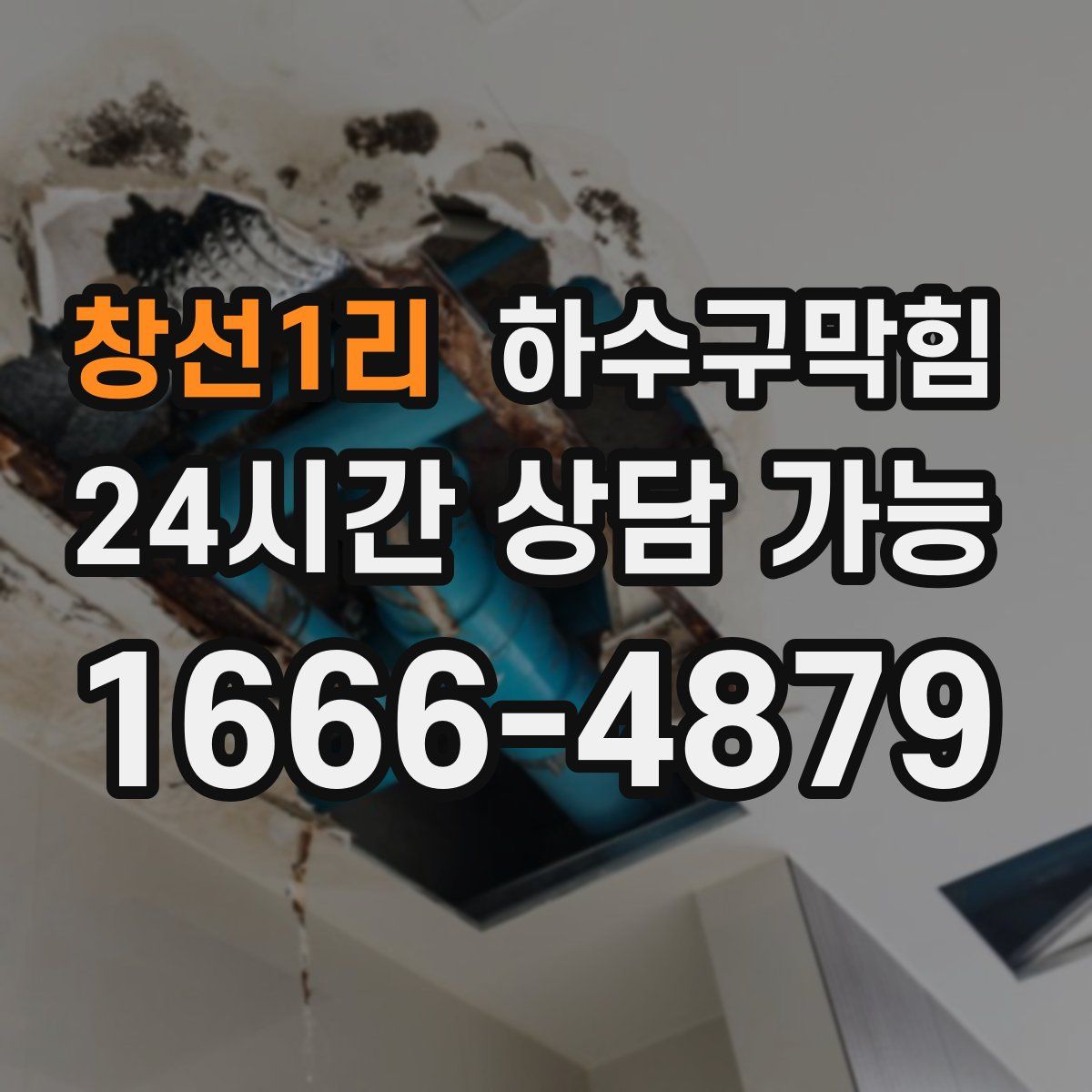 창선1리 하수구막힘