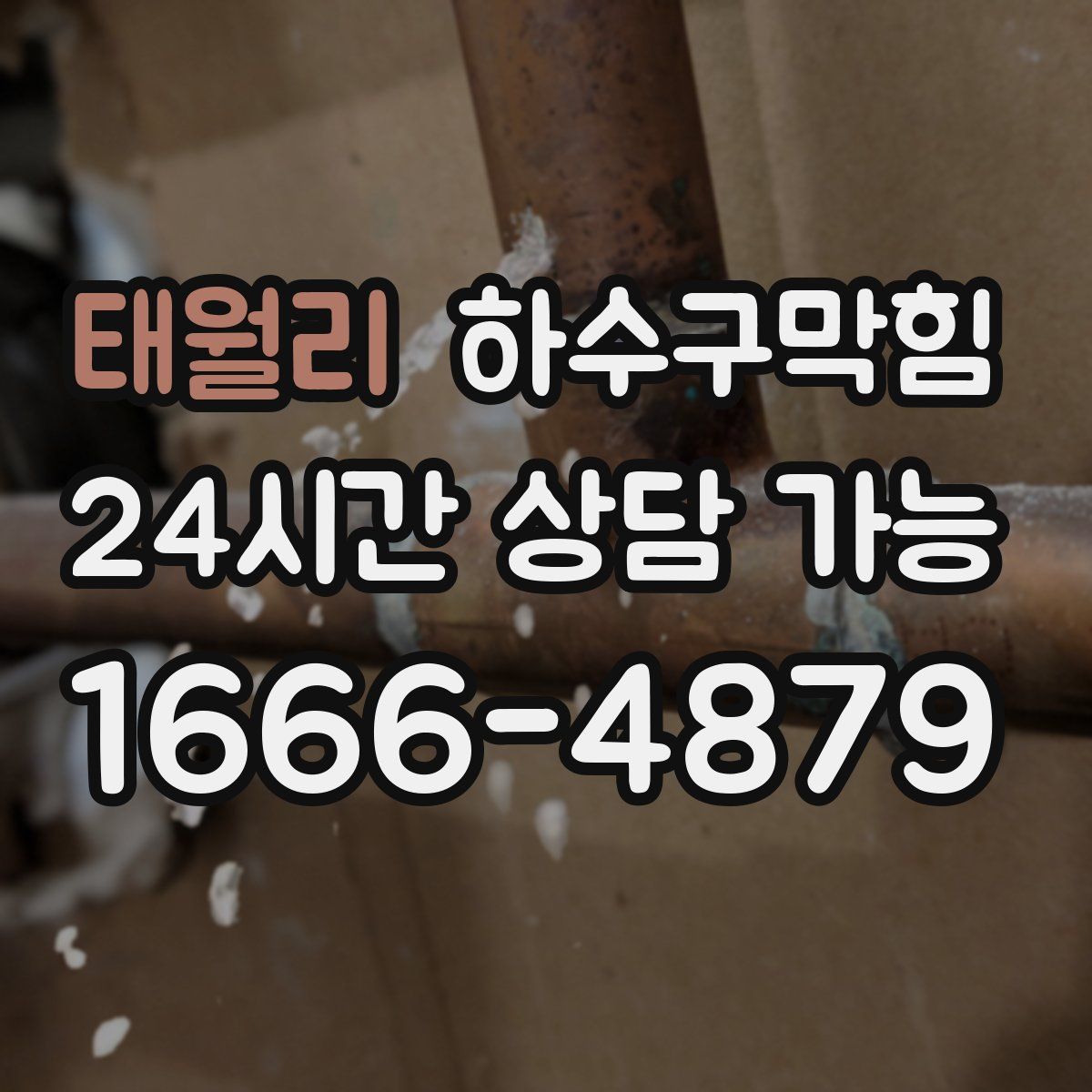 태월리 하수구막힘