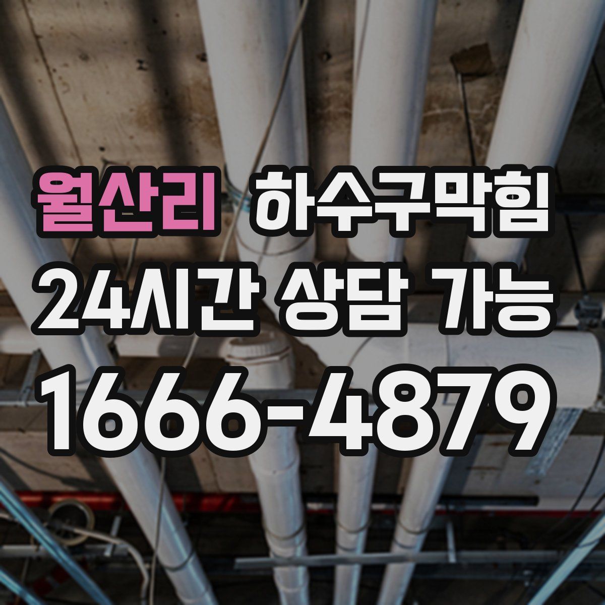 월산리 하수구막힘