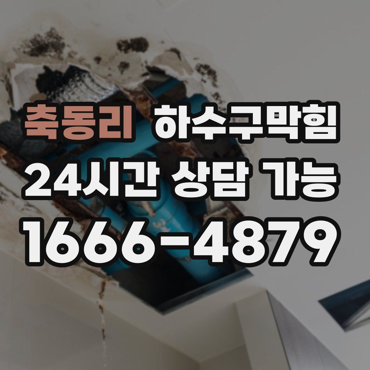 축동리 하수구막힘