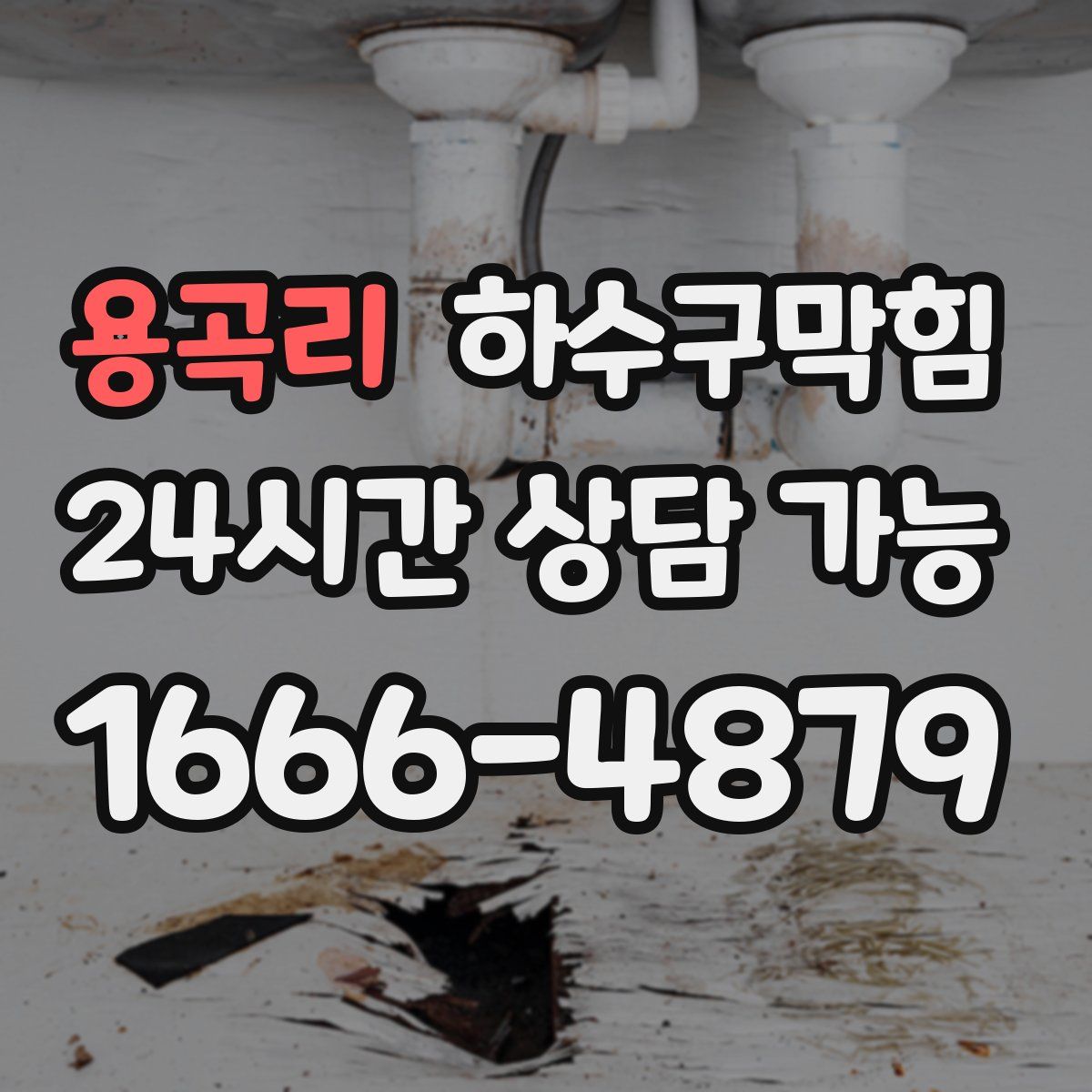 용곡리 하수구막힘