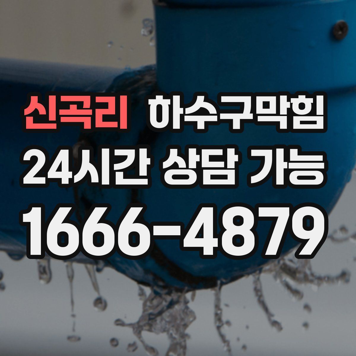 신곡리 하수구막힘