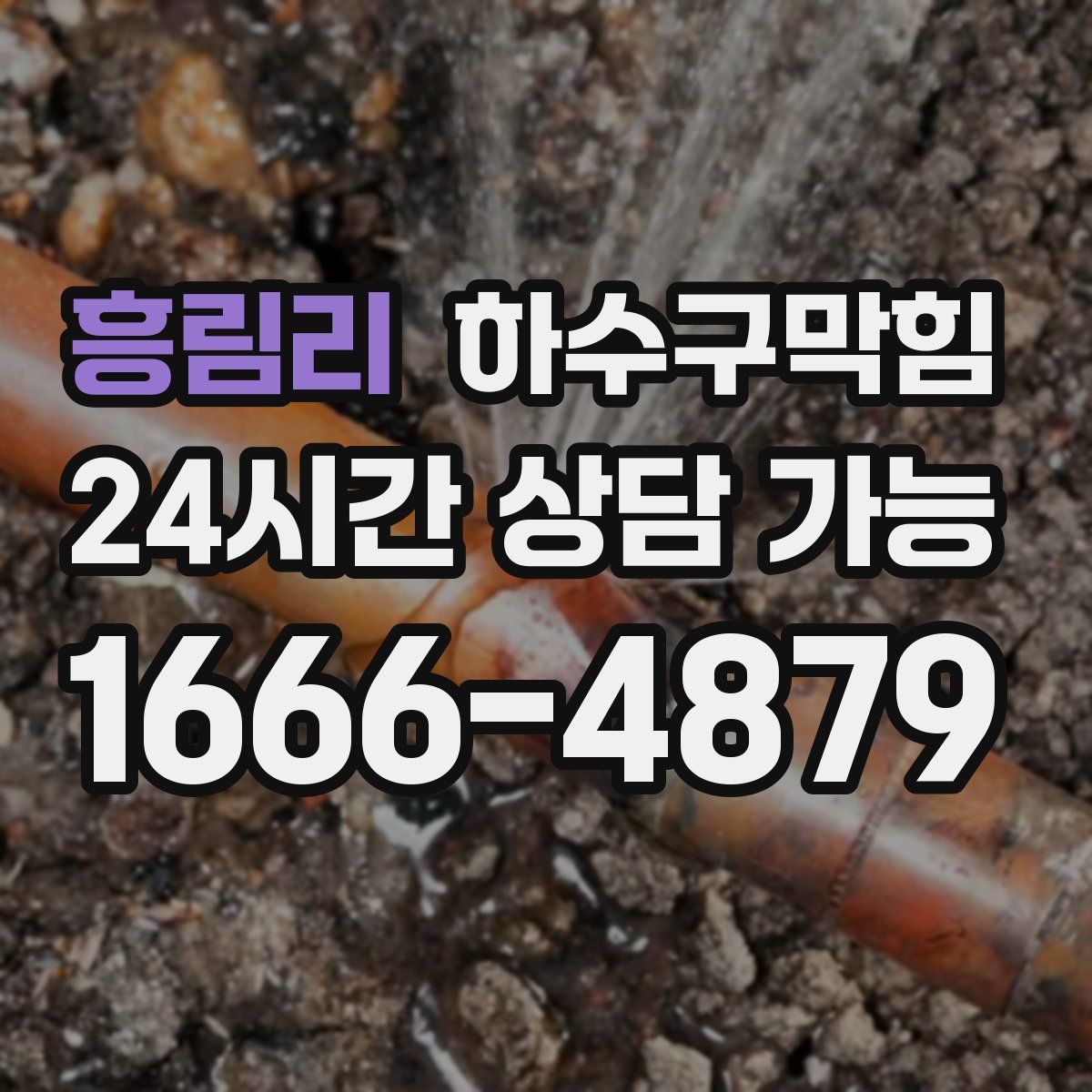 흥림리 하수구막힘