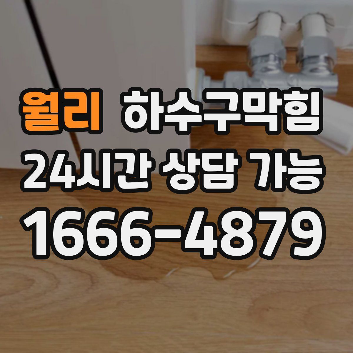 월리 하수구막힘