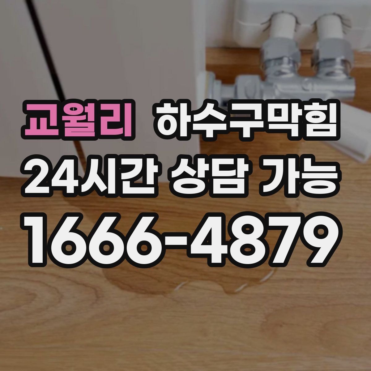 교월리 하수구막힘